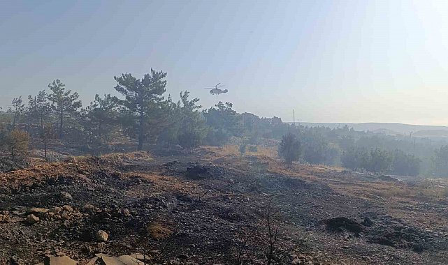 Mersin'deki orman yangını: Havadan müdahale başladı