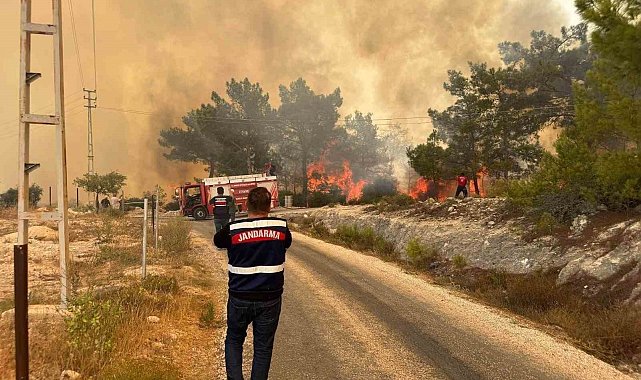 Mersin'deki orman yangınında jandarma ekipleri aktif rol aldı