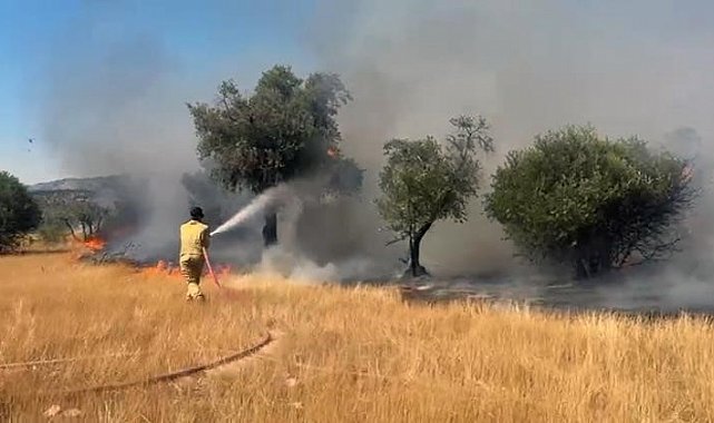 Milas Pınarcık ve Demirciler yangını kontrol altına alındı