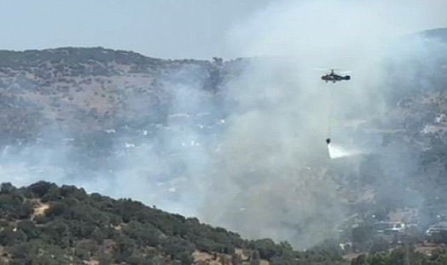 Milas'ta dumanlar yükseldi, müdahale sürüyor