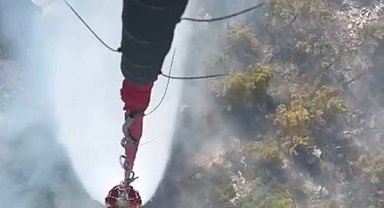 Milas'ta orman yangını