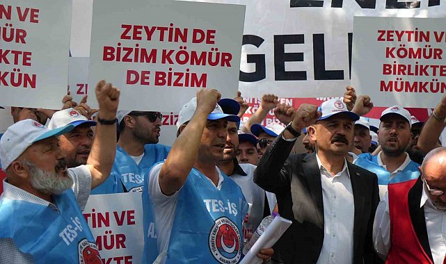 Milaslı muhtarlar ve TES-İŞ'ten Maden Yasası'na destek: "Köylerimiz ve zeytinlerimiz yok olmayacak"