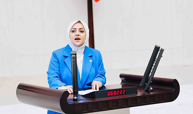 Milletvekili Ün; "Vahşi madencilik kar dışında hiçbir değeri tanımıyor"