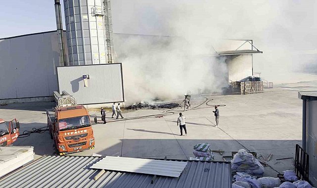 Mobilya üretim fabrikasında yangın: Ekipler, söndürmek için seferber oldu