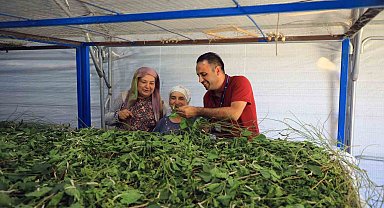 Muğla Büyükşehir'den ipekböcekçiliğine tam destek