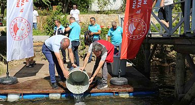 Muğla'da 205 bin sazan yavrusu su kaynaklarına bırakıldı