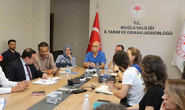 Muğla'da 'Taşkın Riski' ön değerlendirme toplantısı