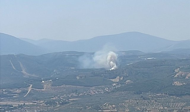 Muğla'da orman yangını