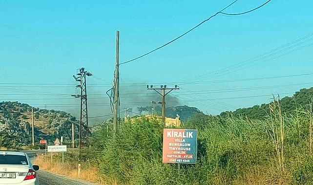 Muğla'nın Ortaca İlçesi Sarıgerme Mahallesi'nde orman yangını