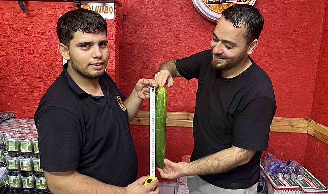 Muratlı'da dev salatalık görenleri hayrete düşürdü