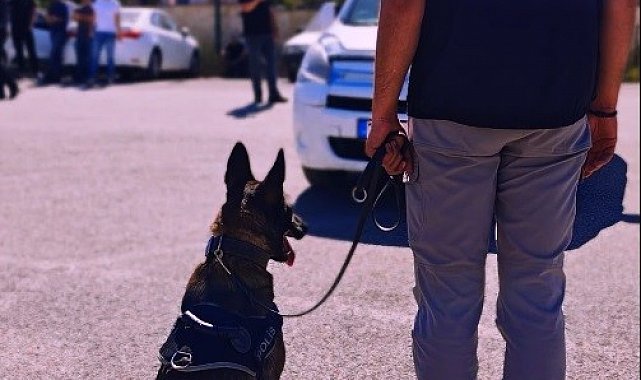 Muş polisi suç ve suçlulara geçit vermiyor