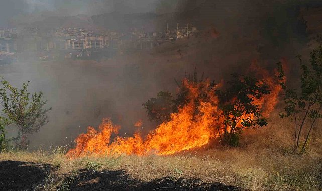 Muş'ta örtü yangını kontrol altına alındı