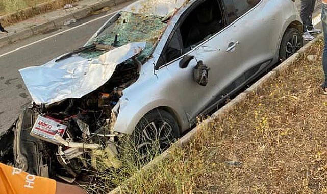 Muş'ta otomobil ineğe çarptı, 1 kişi yaralandı