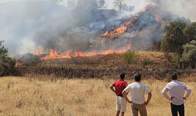 Nazilli'de zirai alanda çıkan yangın kontrol altına alındı