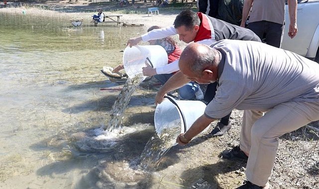 Nevşehir'de 856 Bin yavru sazan balığı sularla buluştu