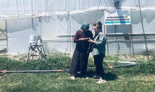 Niğde'de KOP destekli seralarda üretim başladı