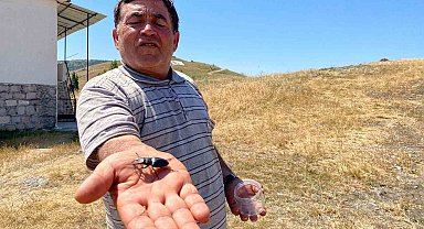 Öldürmenin cezası 557 bin TL, Sivas'ta görüldü