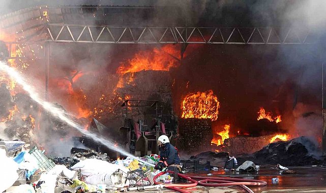 Ordu'da geri dönüşüm tesisinde yangın