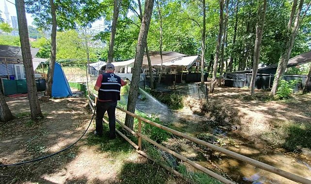 Ordu'da vektörel mücadele sürüyor