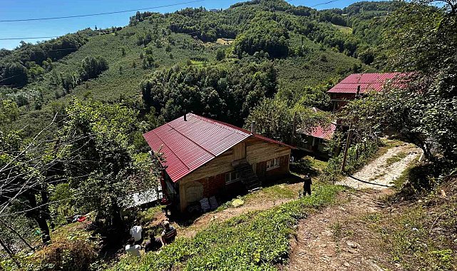 Ordu'ya şehit ateşi düştü