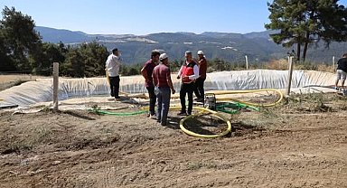 Orman yangını olan köylerde zarar tespiti çalışmaları hız kesmeden devam ediyor