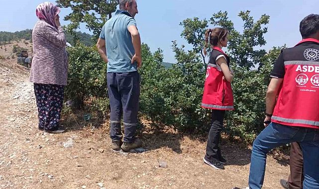 Orman yangını sonrası psikososyal destek hızla verildi