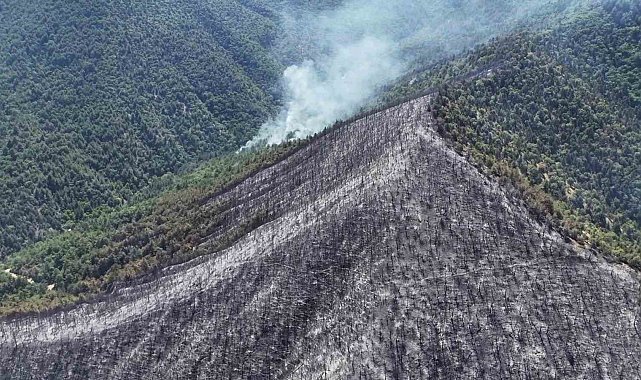 Orman yangınında zarar gören alanlar havadan görüntülendi