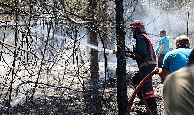 Orman yangınlarına karşı uyarı: Küçük bir ihmalle, büyük felaketler yaşatmamak için bunlara dikkat