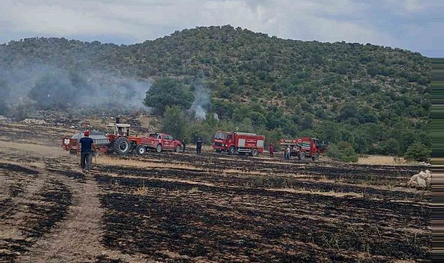 Ormana sıçrayan anız yangını korkuttu