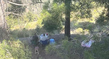 Ormanda piknik yapan 4 şahsa yasal işlem yapıldı