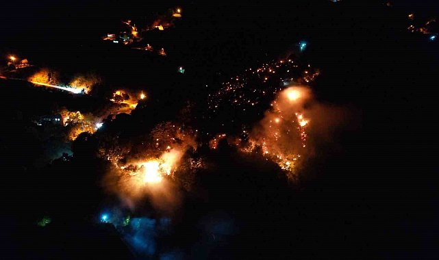 Ormanlık alanda yangın: Ekipler ve vatandaşlar alevleri 3 saatte söndürdü