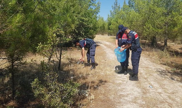 Ormanlık alanlara sıkı denetim