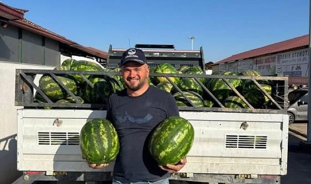 Osmaneli'nin coğrafi işareti alan meşhur karpuzunun ilk hasadı başladı