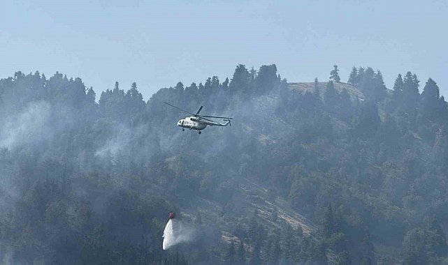 Osmaniye'deki orman yangını kontrol altına alındı