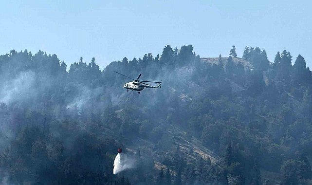 Osmaniye'nin çıkan orman yangını devam ediyor