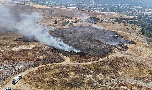 Ot yangınında 3 dönümlük alan zarar gördü