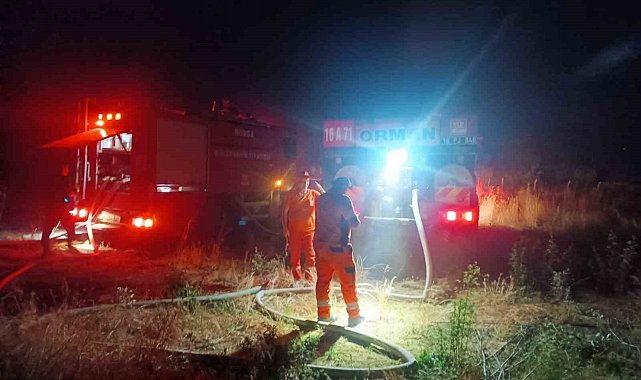 Otluk alanda çıkan yangın ağaçlık alana sıçradı