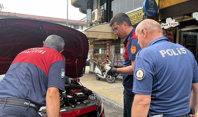 Otomobilin motor kısmında bulunan kedi çevredekilerin dikkati sayesinde kurtarıldı