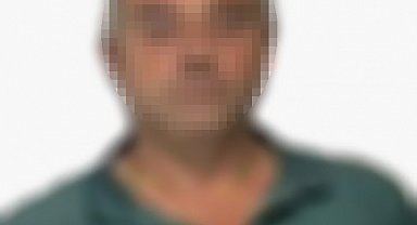 Park halindeki araçtan hırsızlık yapan şüpheli gözaltına alındı