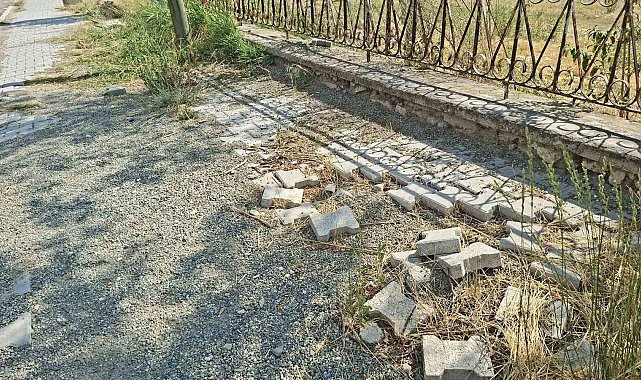 Parkın bakımsızlığı tepkilere neden oldu