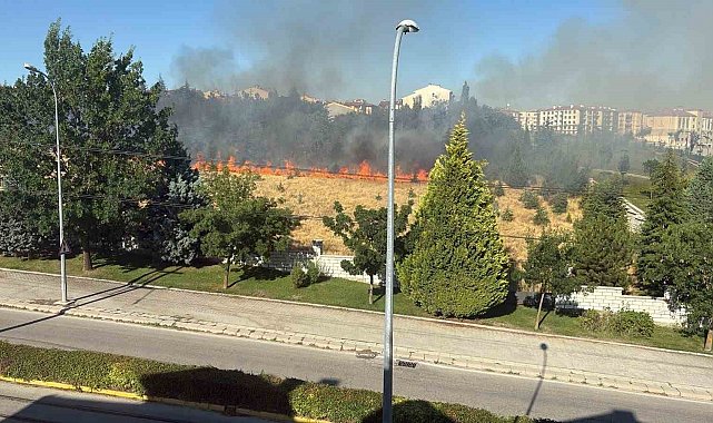 Parkta çıkan yangın paniğe sebep oldu