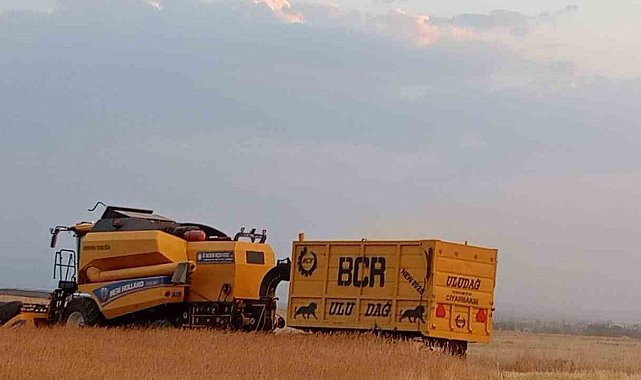 Patnosta buğday hasadı başladı