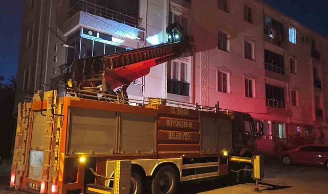 Pencereye sıkışan kuş için itfaiye seferber oldu