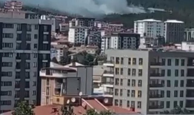 Pendik Aydos Ormanı'nda yangın kontrol altına alındı