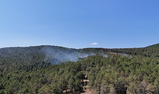 Pendik'te ormanlık alanda çıkan yangına müdahale ediliyor