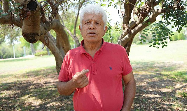 Profesörden denizlerin akciğerleri 'deniz çayırı' uyarısı