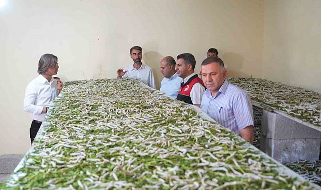 "Böcekle mi uğraşacaksın" sözlerine aldırmadı, binlerce lira kazandı
