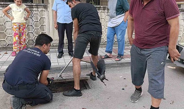 Rögarda mahsur kalan kargayı itfaiye kurtardı