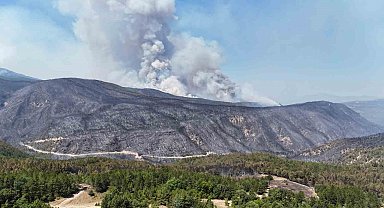 Rüzgar, Karabük'teki orman yangınlarını yeniden alevlendirdi
