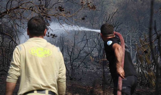 Sakarya-Bilecik sınırında alevler yeniden yükseldi: Hızlı müdahale yayılmayı önledi